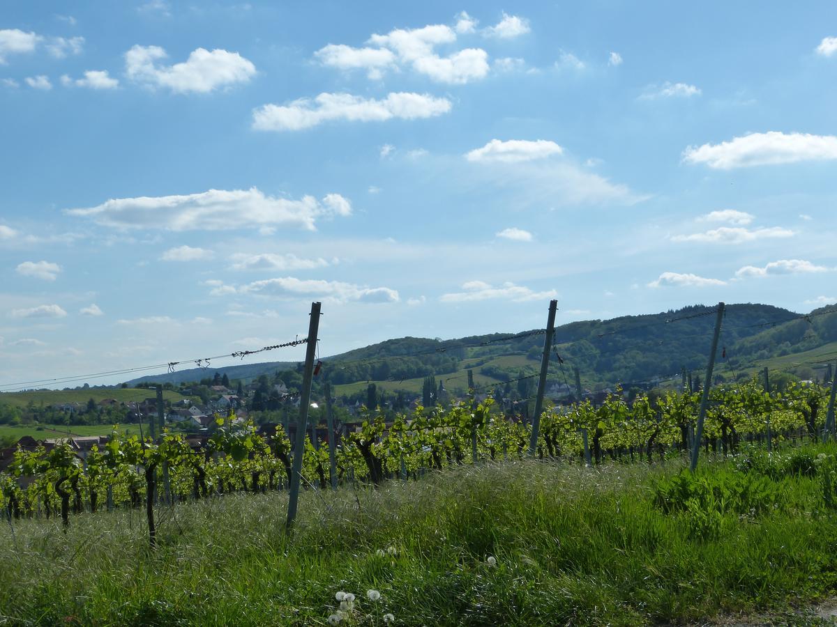 Gaestehaus Annel Niederhorbach Buitenkant foto