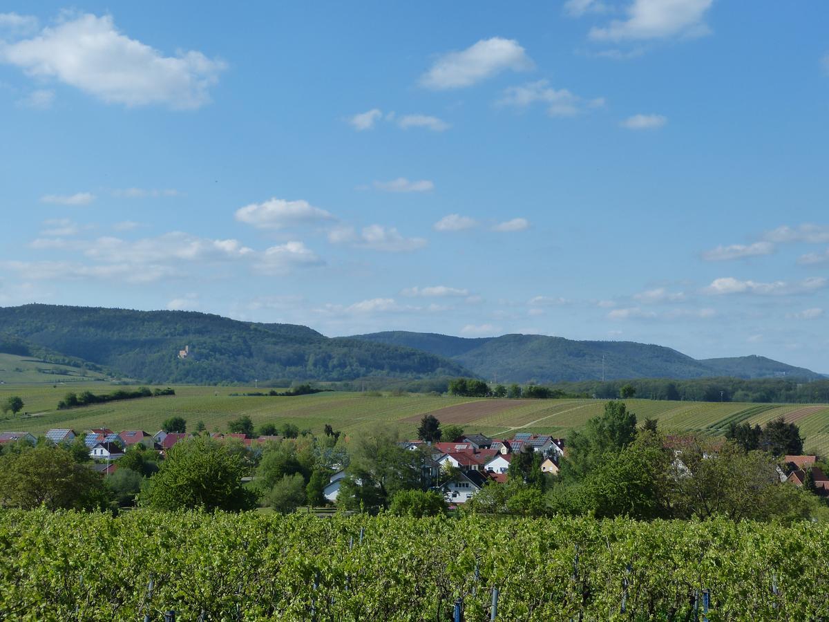 Gaestehaus Annel Niederhorbach Buitenkant foto