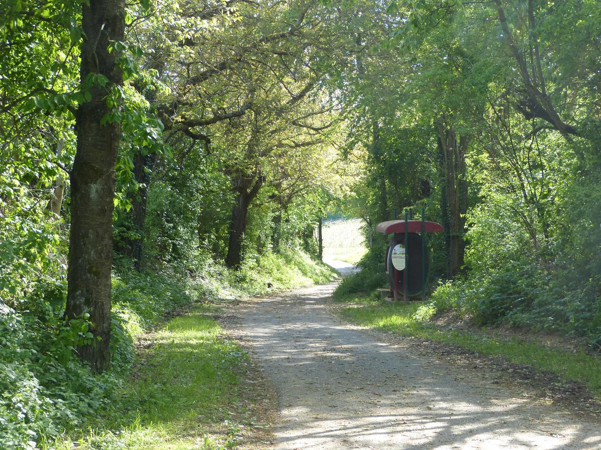 Gaestehaus Annel Niederhorbach Buitenkant foto