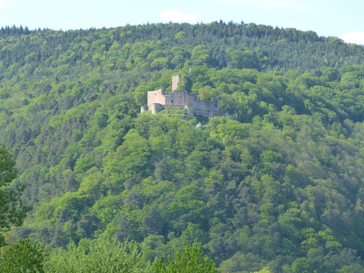 Gaestehaus Annel Niederhorbach Buitenkant foto